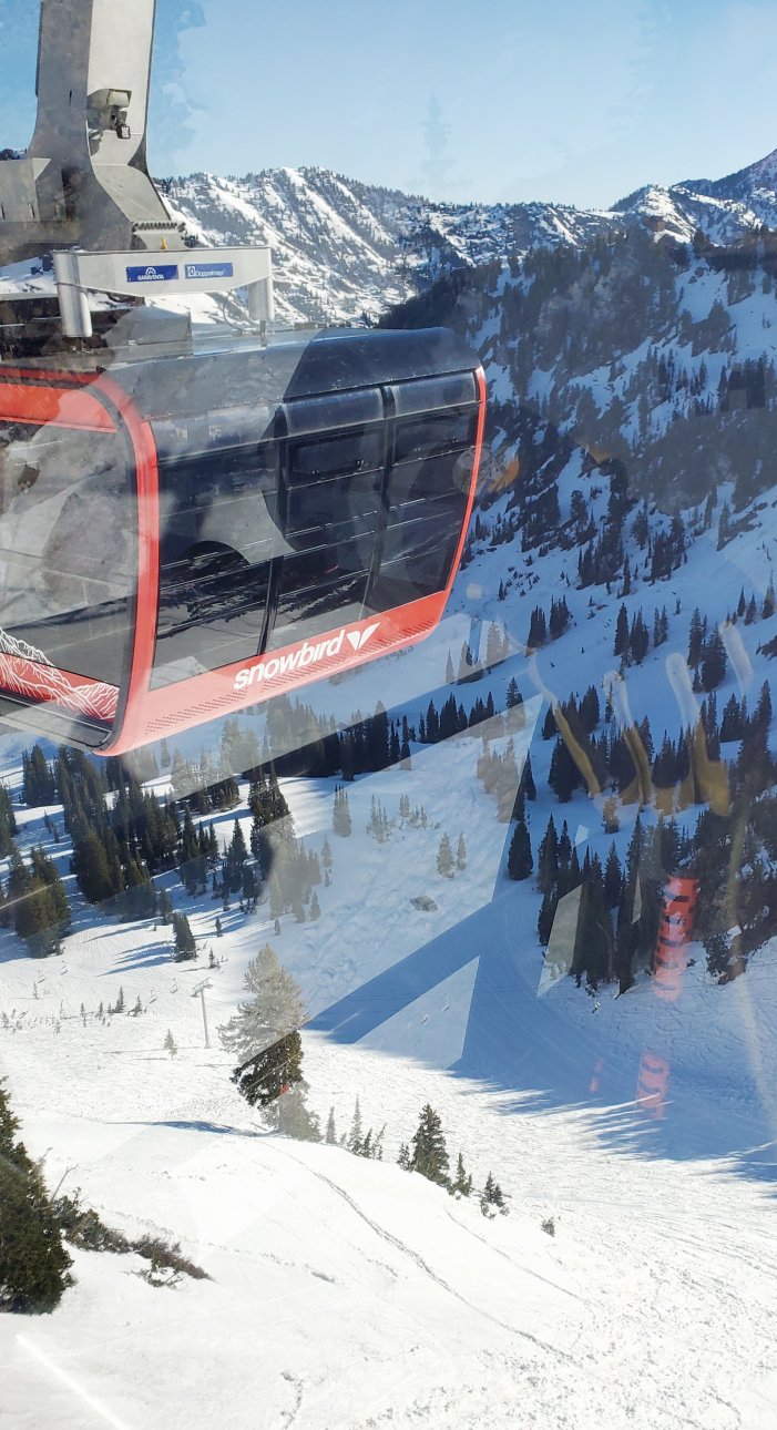 8 may 2025 view of snowbird red tram.jpg