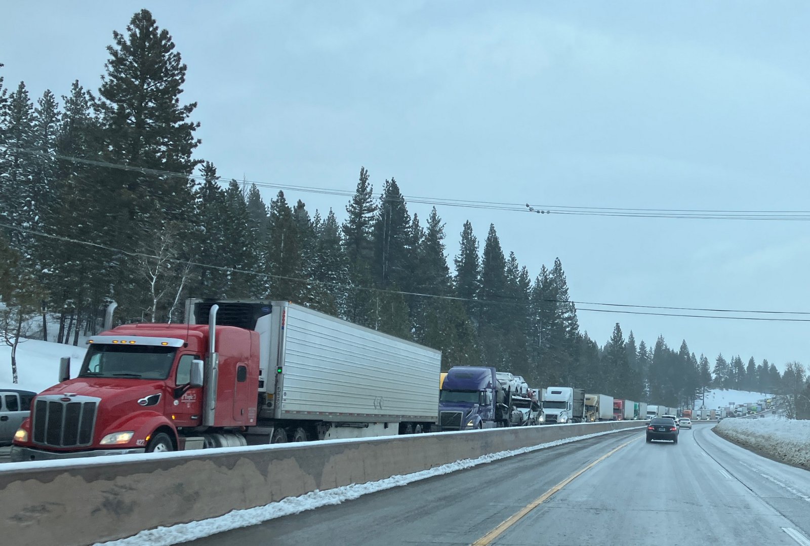 8455Trucks80WB.JPG