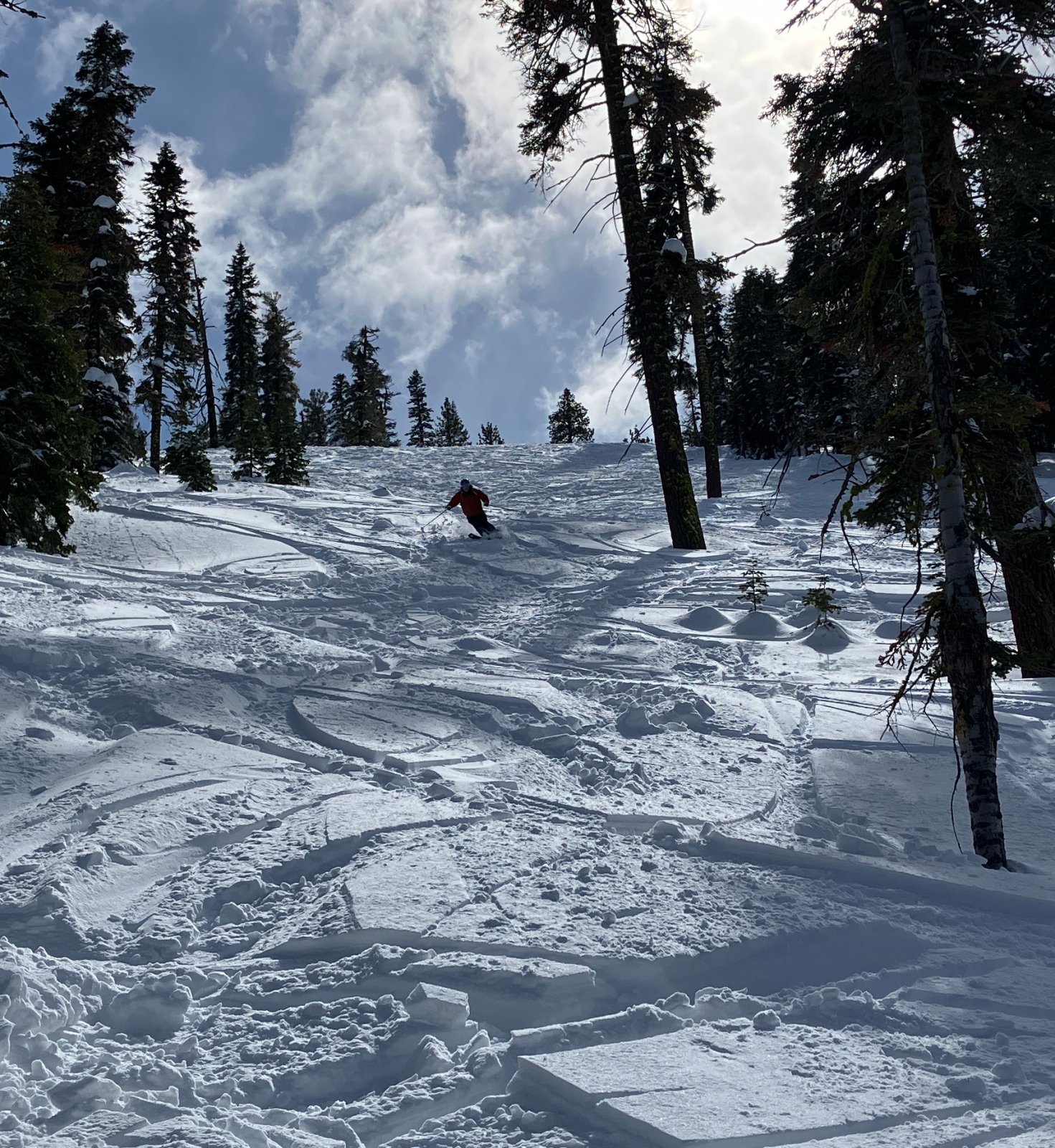 8495DaveSkiingBoca.JPG
