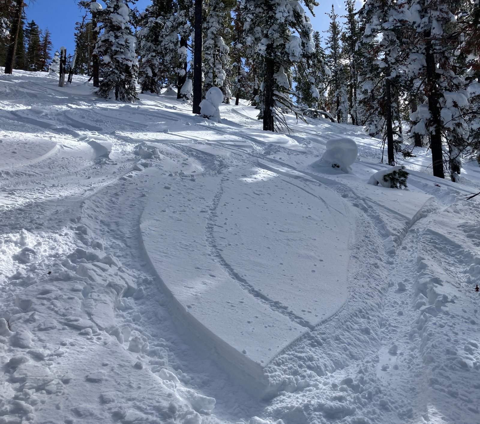 8498LookoutGlade.JPG