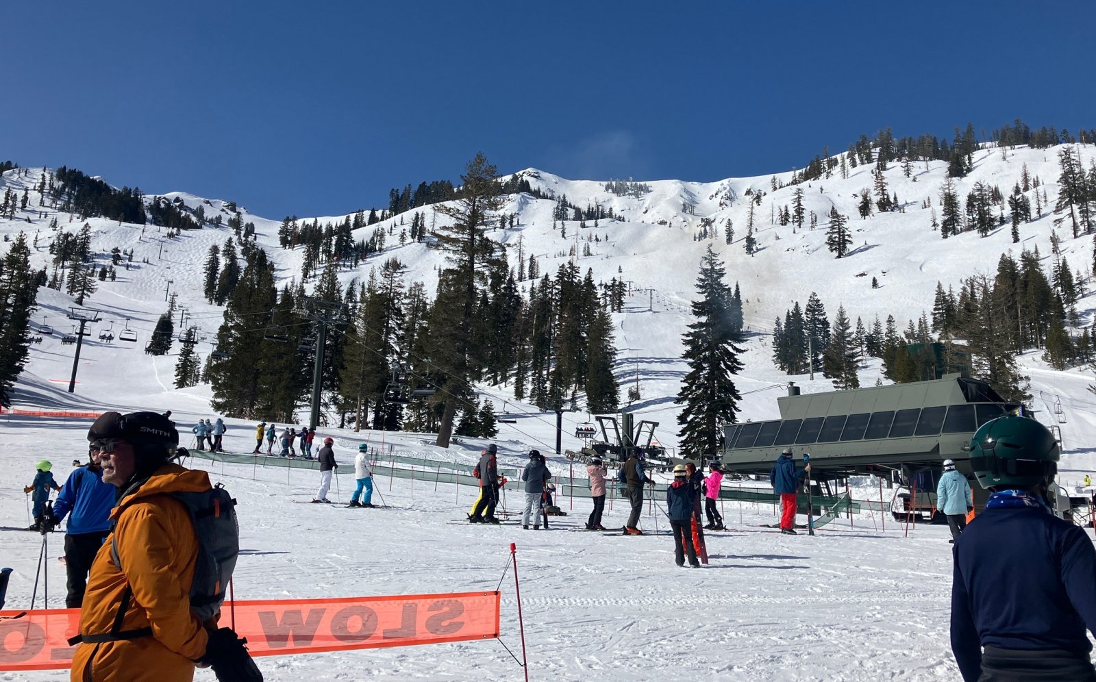 8514AlpineBase.JPG