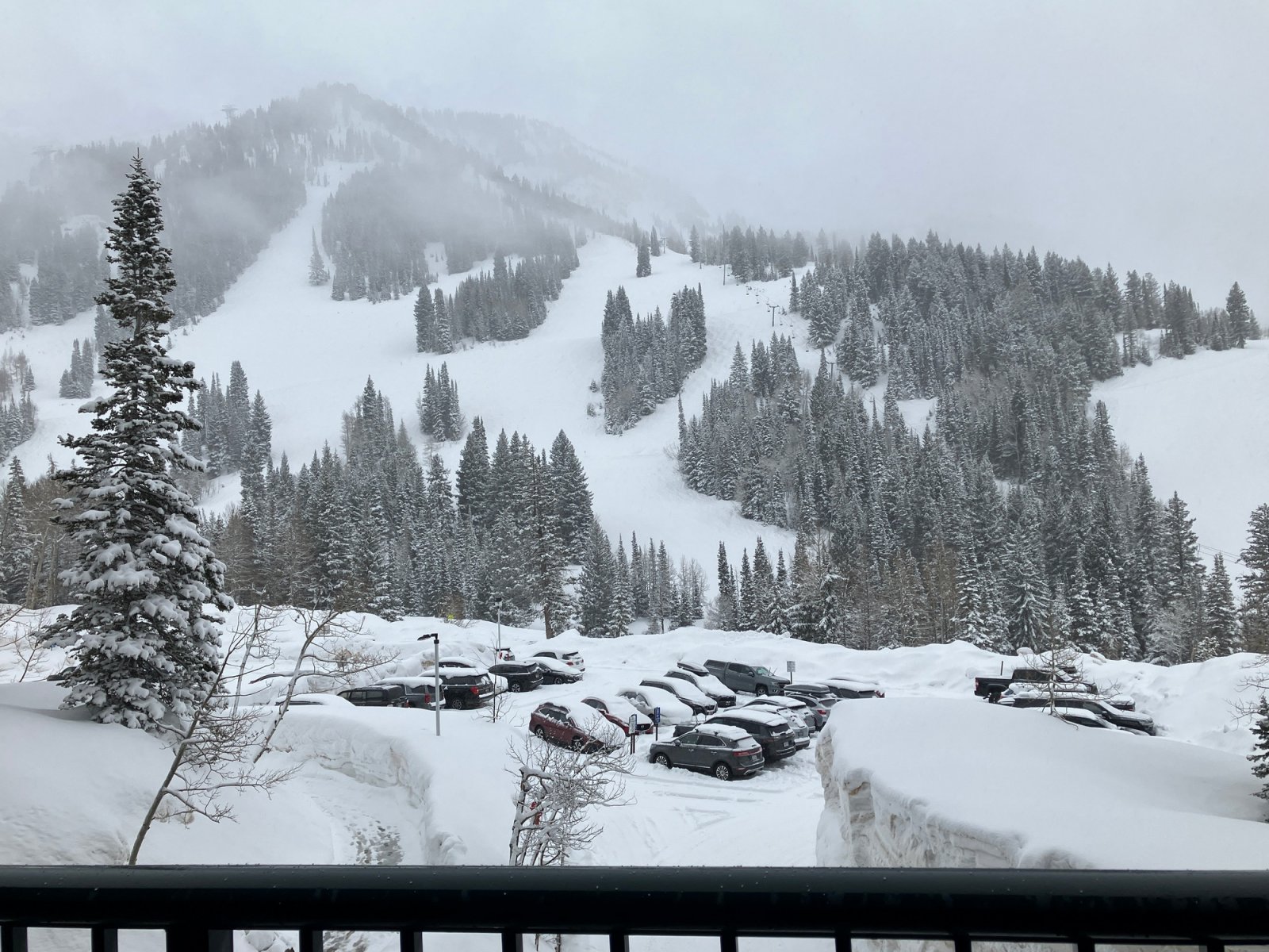 8527BalconyView.JPG