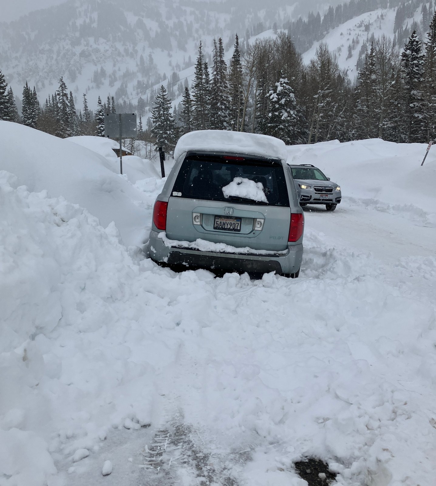 8548PilotBeforeShoveling.JPG