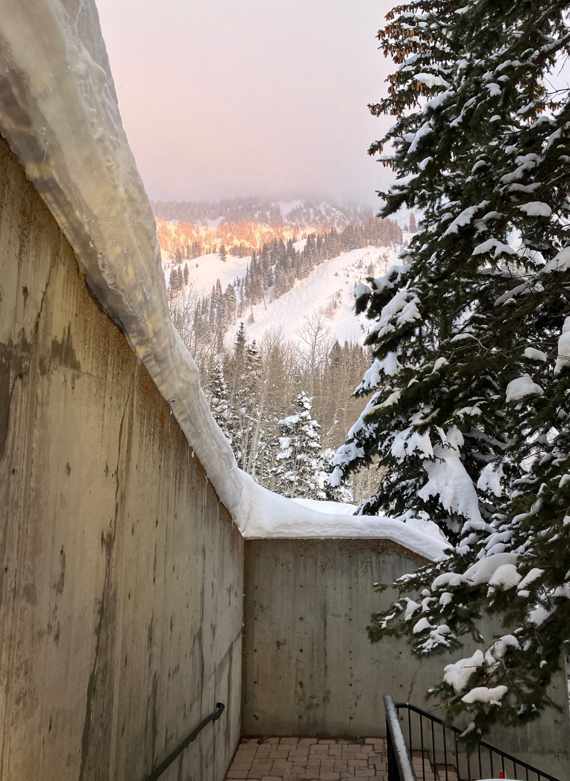 8549SomeAlpenglow.JPG