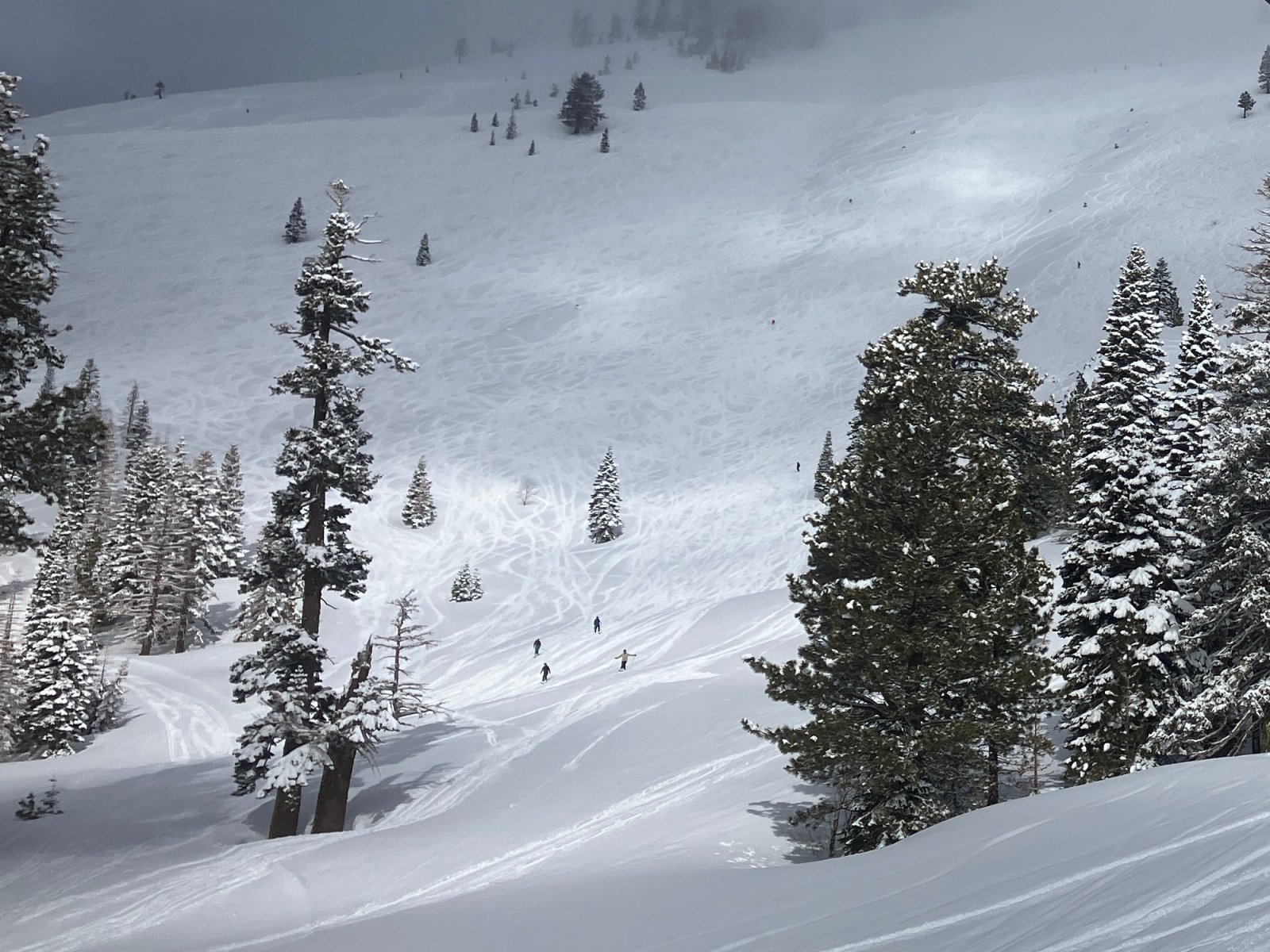 8638Sherwood.JPG