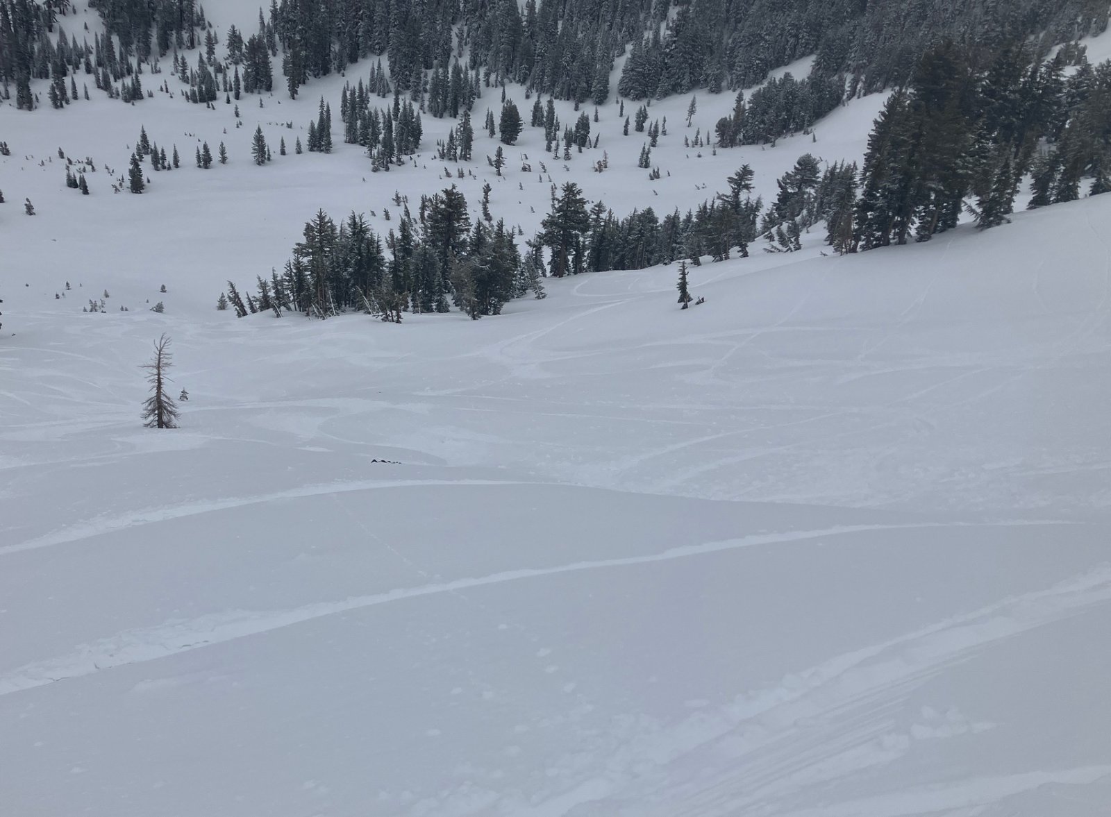 8944EagleBowl@315.JPG