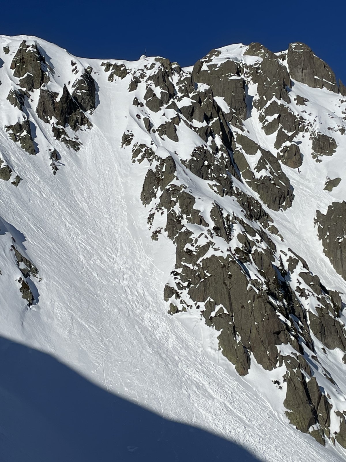 90CF4341-7588-445D-86AD-005948127B65.jpeg