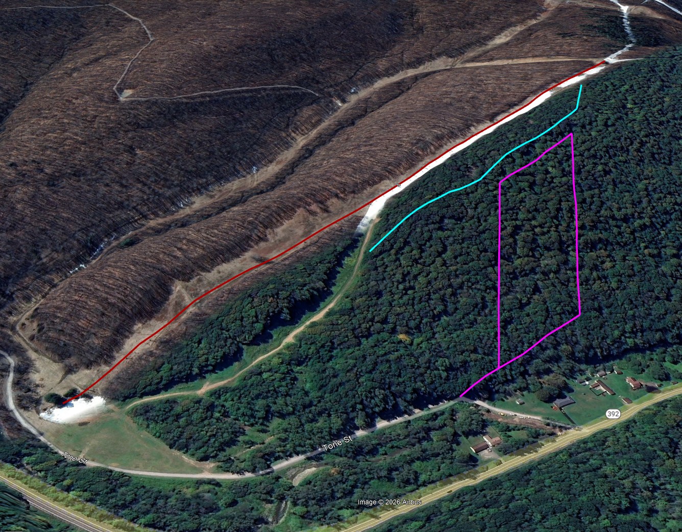 Alsos extended glade.jpg