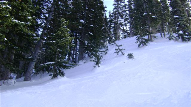 Alta, Snowbird, Snowbasin Jan 2009 072 (Small).jpg