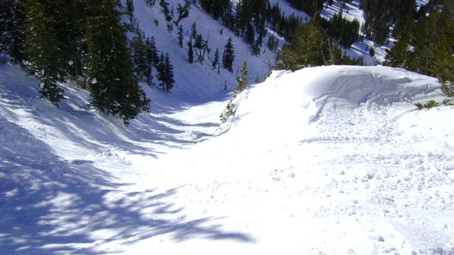 Alta, Snowbird, Snowbasin Jan 2009 134 (Small).jpg