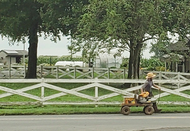 amish man 15 july 2025.jpg