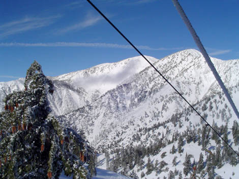 Baldy from chair 3.jpg