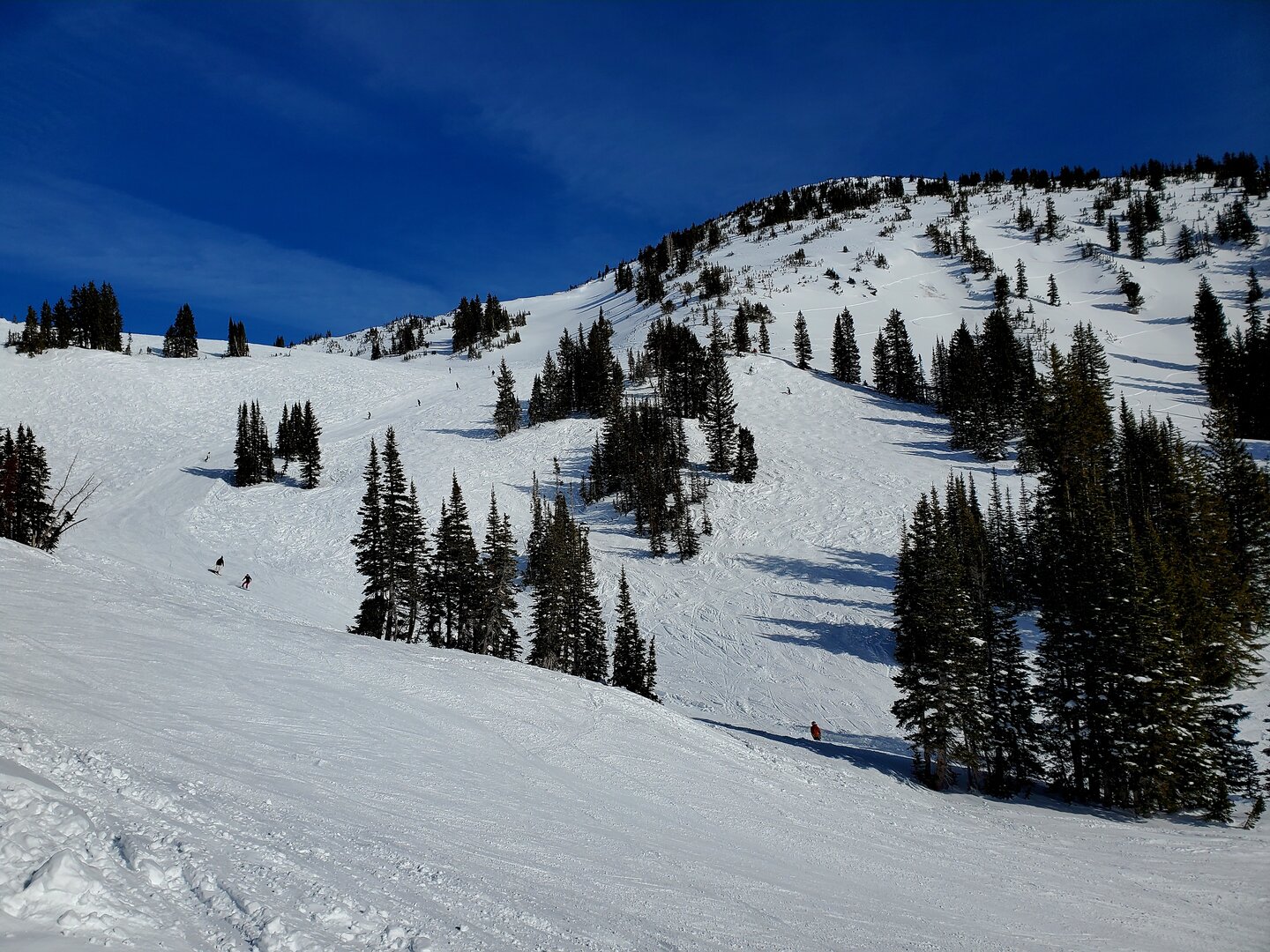 baldy terrain 11 jan 2026.jpg