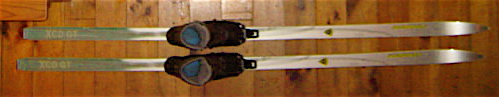 BC Skis.JPG