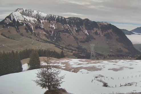Plenty of snow on the upper half of the mountain in Engelberg, Switzerland, but very little snow lower down – Weather to ski – Today in the Alps, 2 February 2024