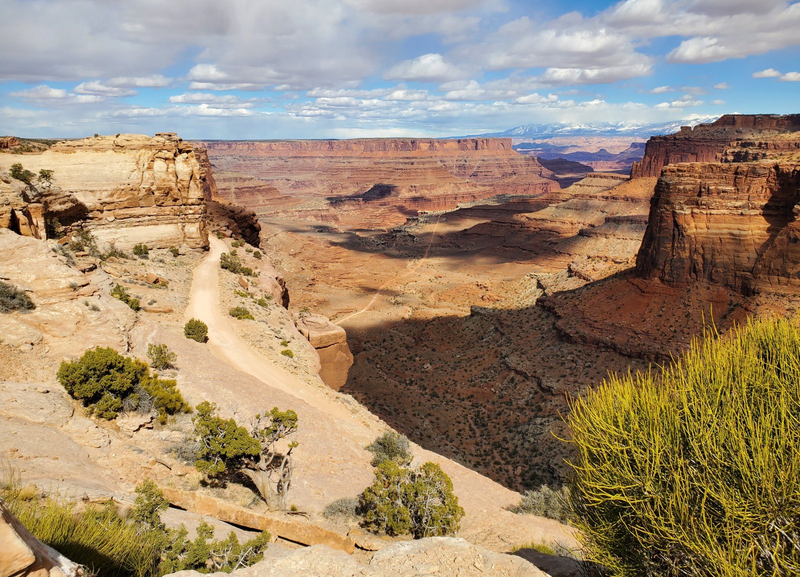 Canyonlands Mar 2022.jpg