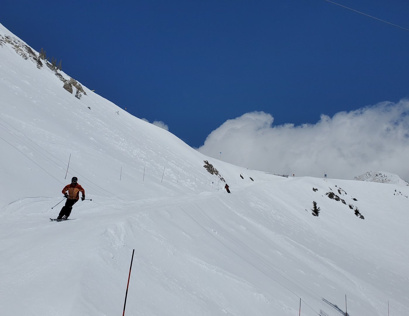 cat track snowbird 3 may.jpg