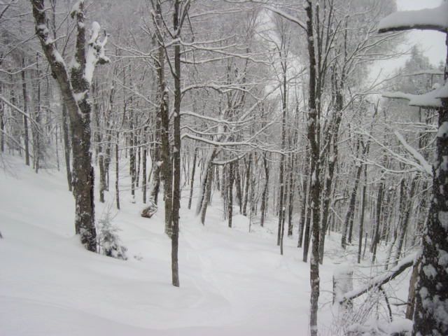Chati Glades.jpg