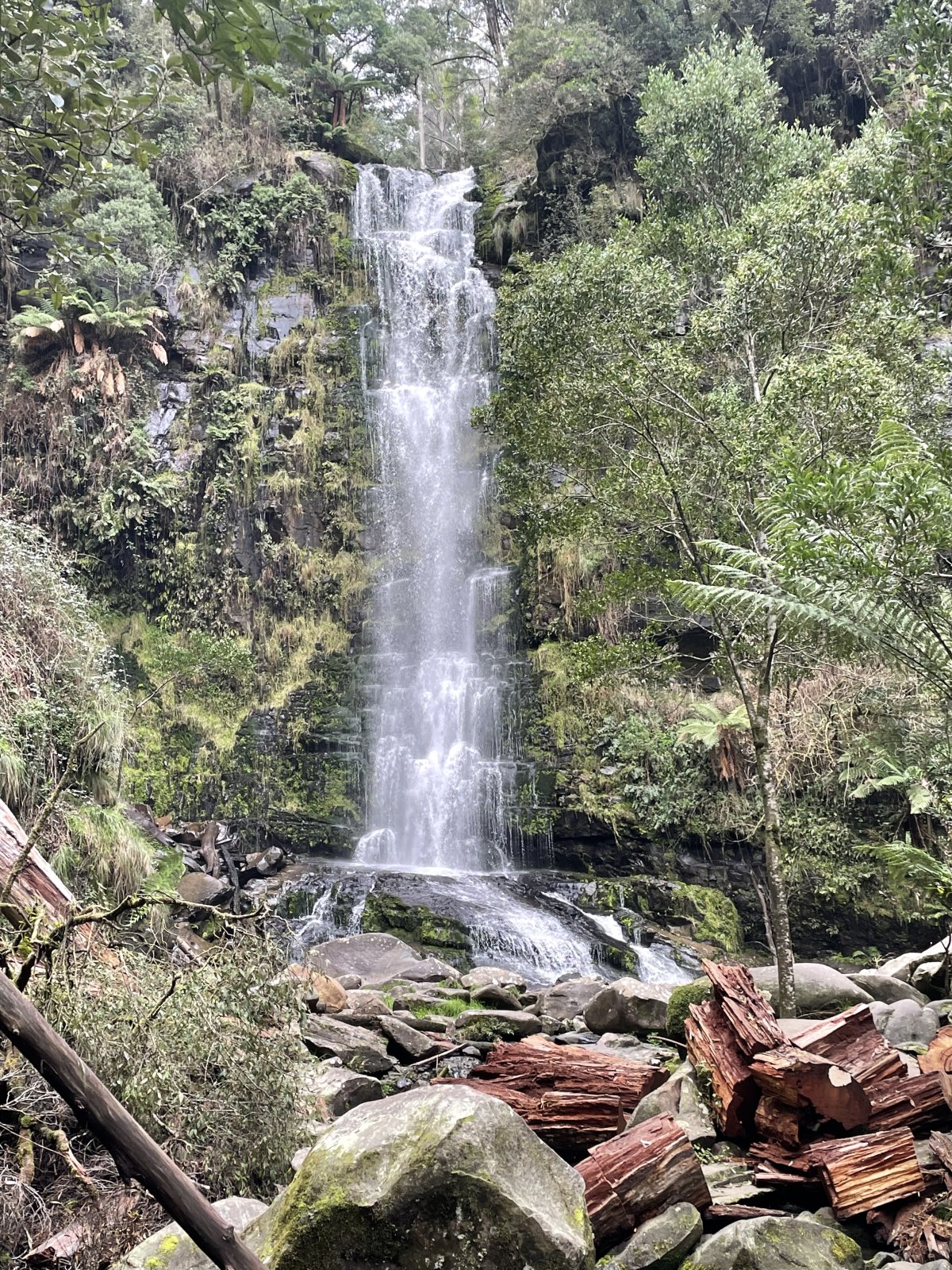 D2716672-E28D-446C-87ED-F03D6255AFFD.jpeg