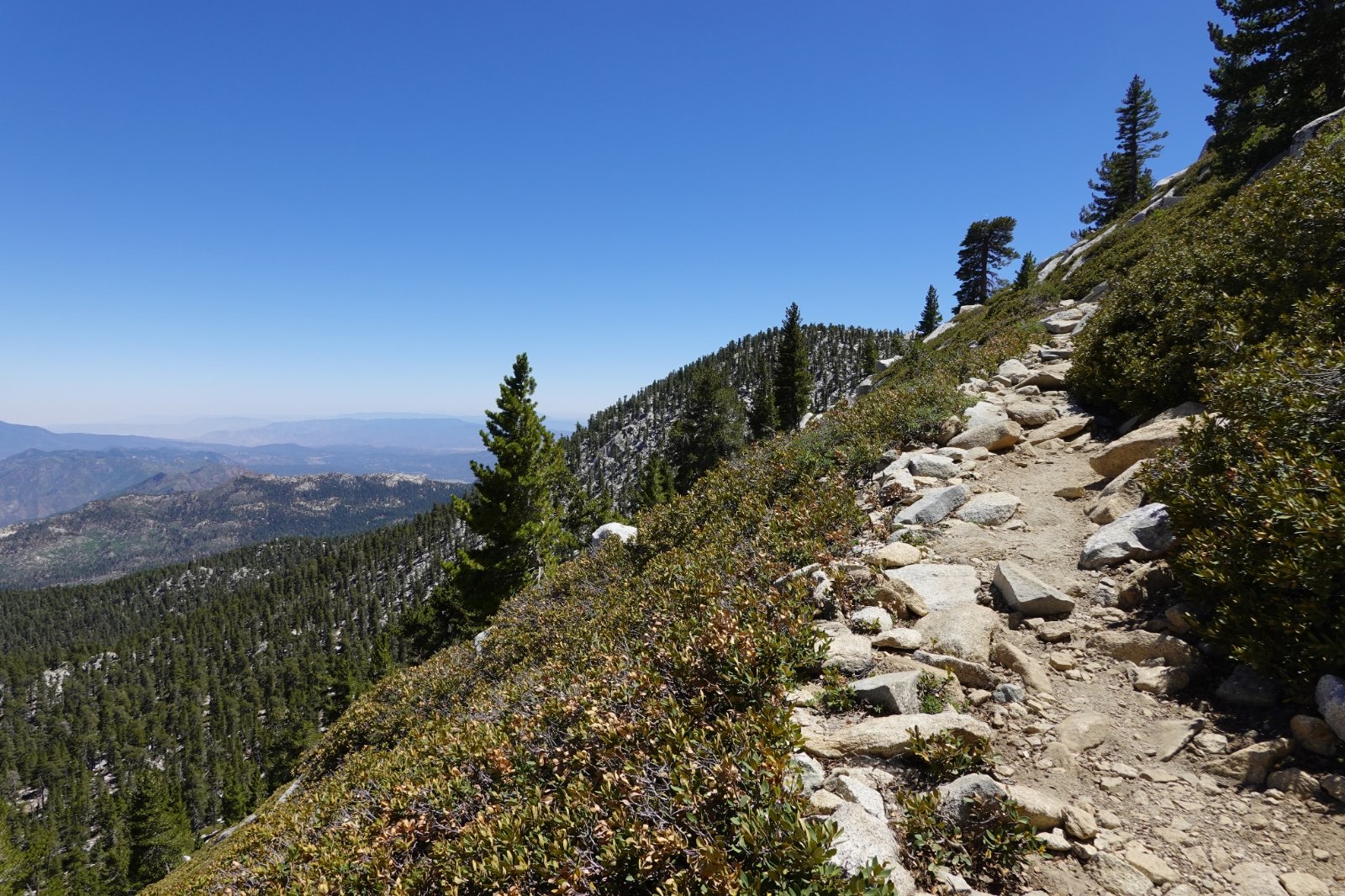 DSC00749.JPG