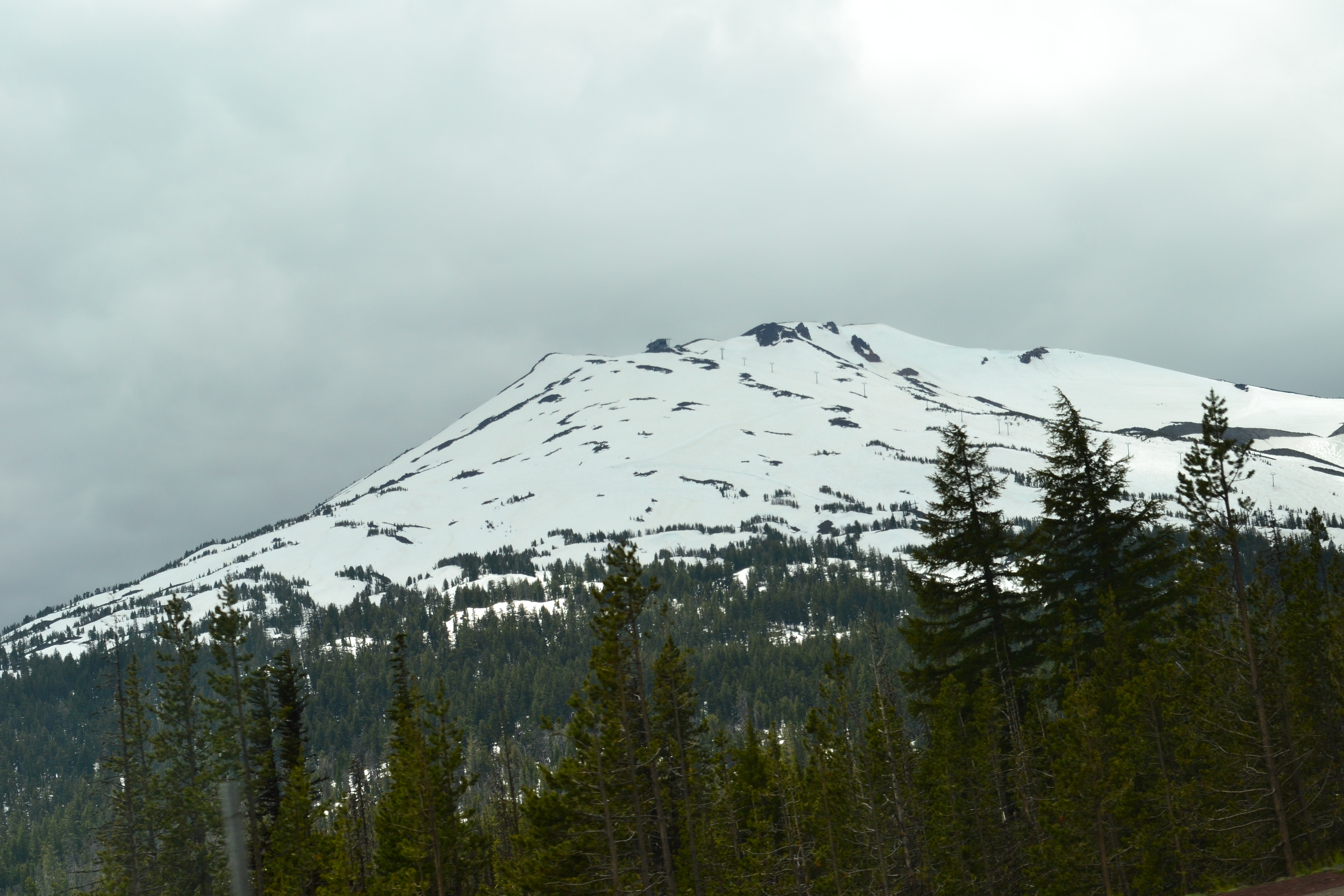 DSC_0334.JPG