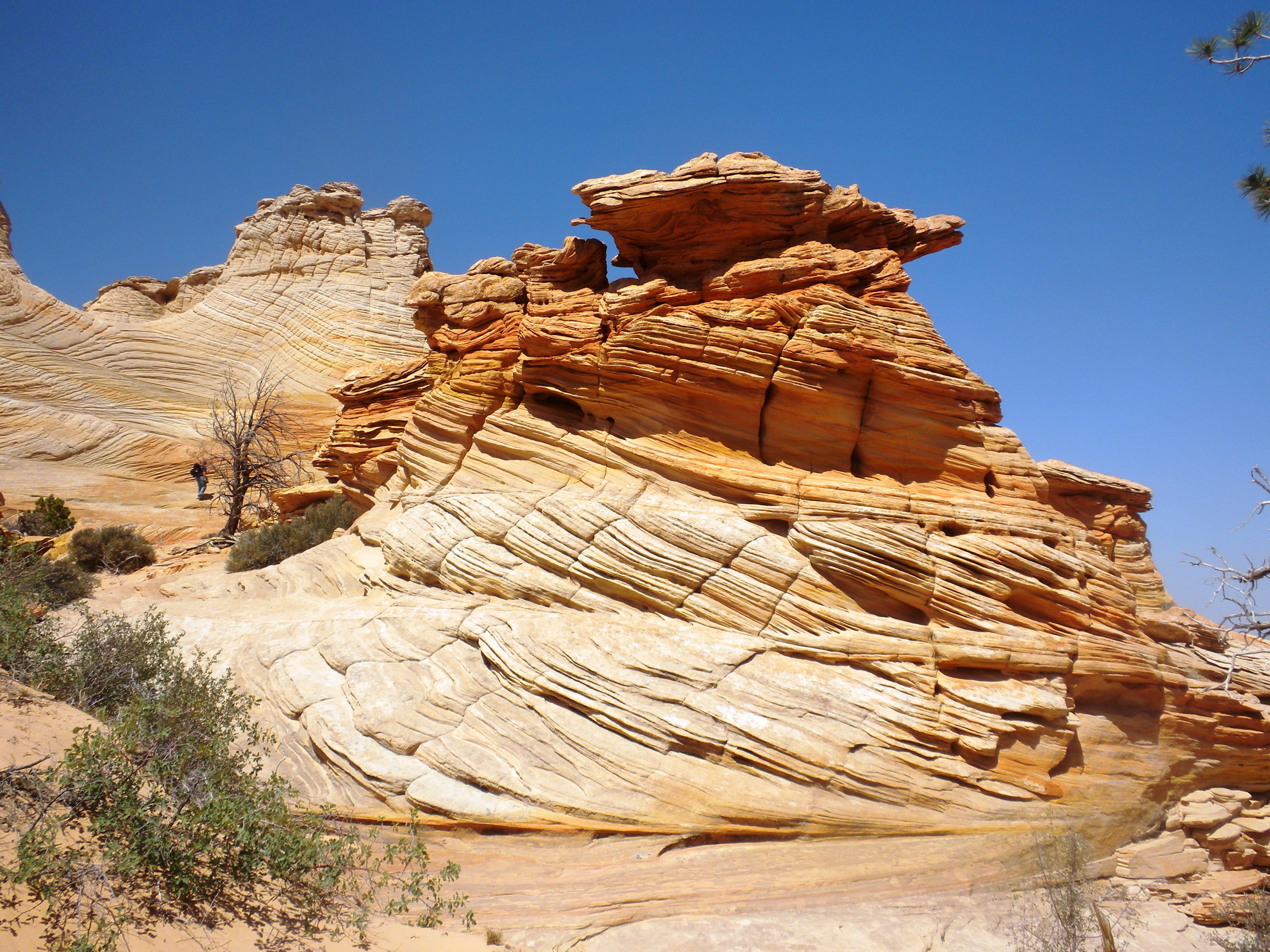 DSCN2075a.JPG