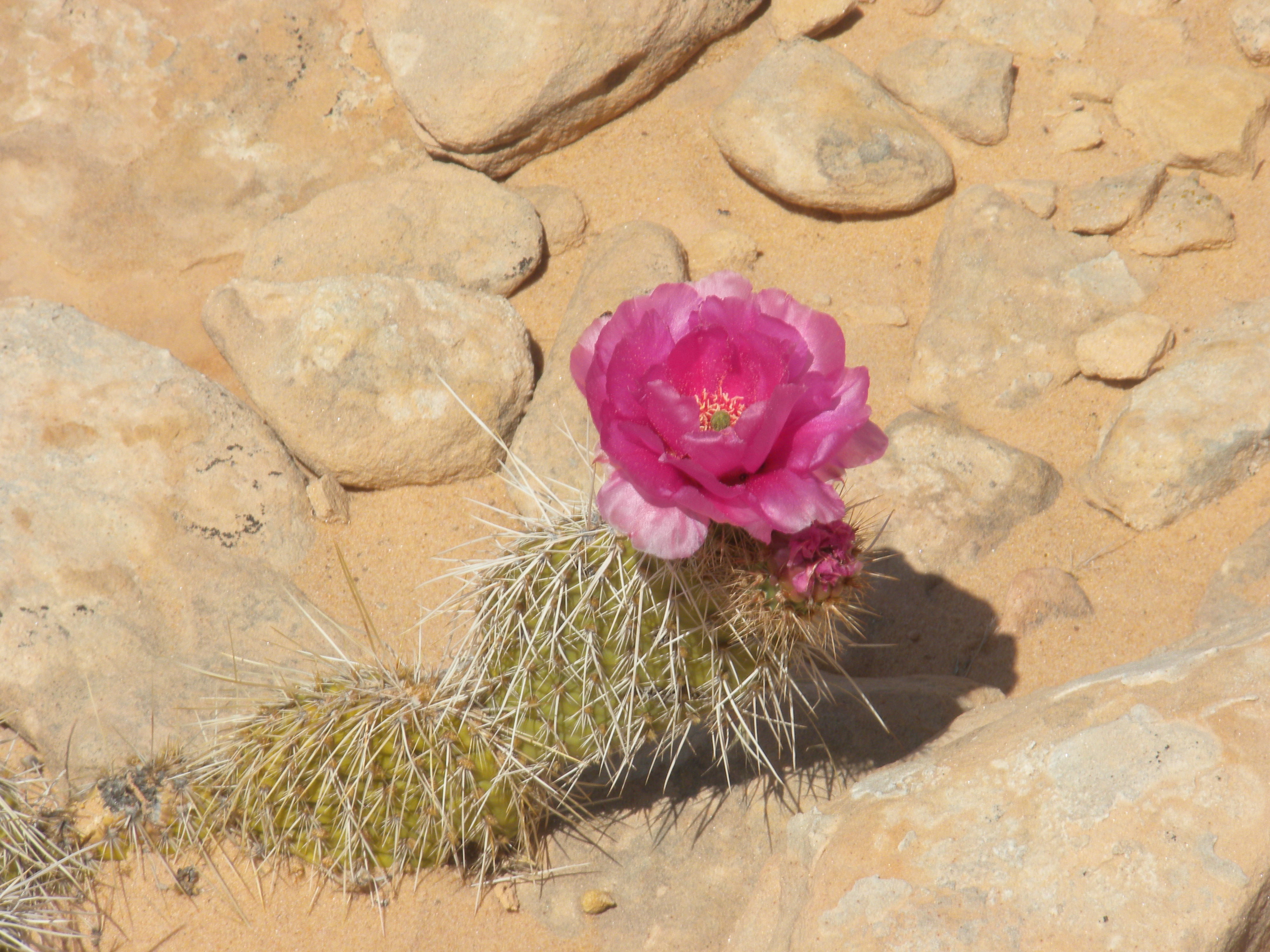 DSCN2088.JPG