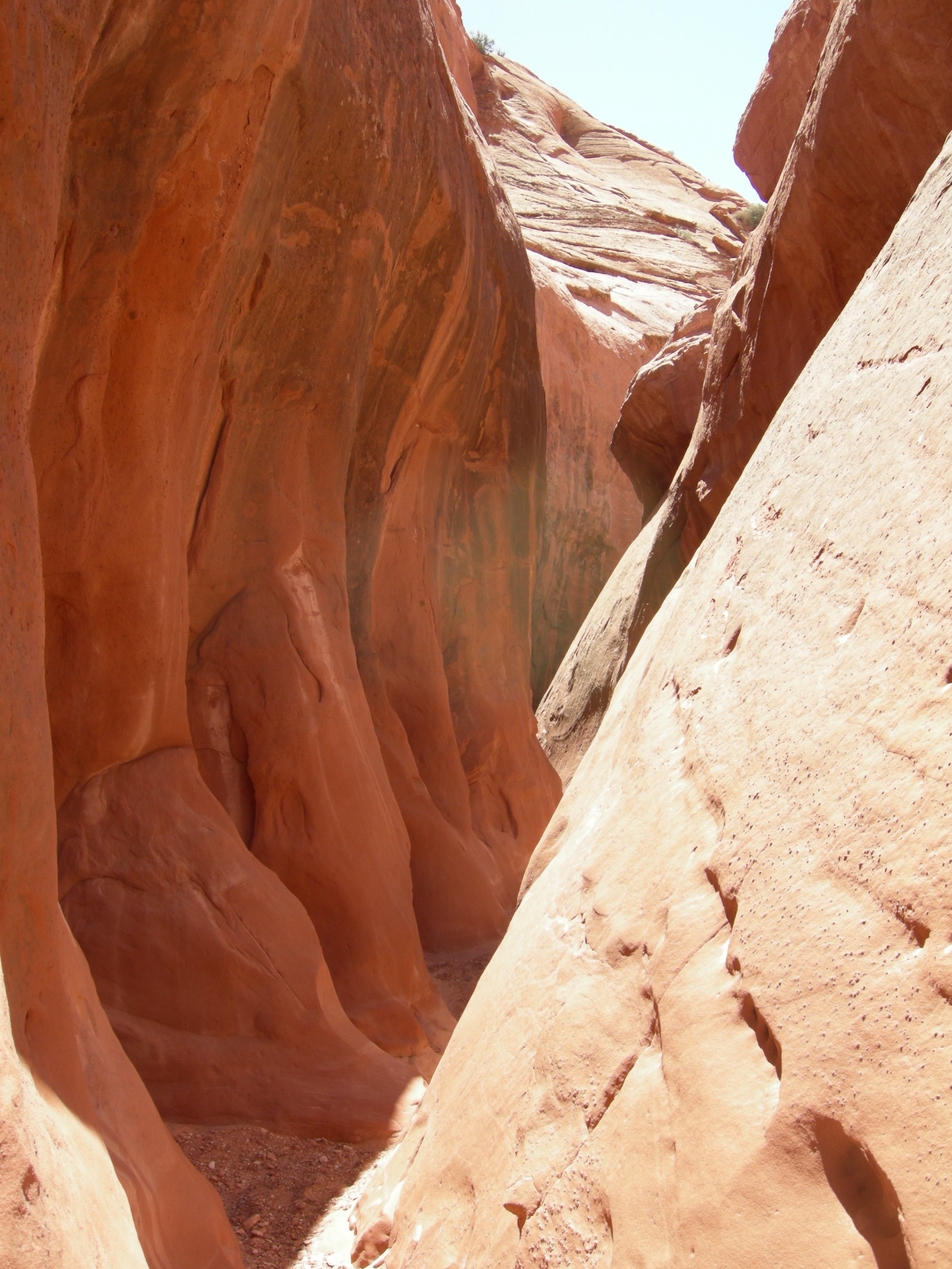 DSCN3881.JPG