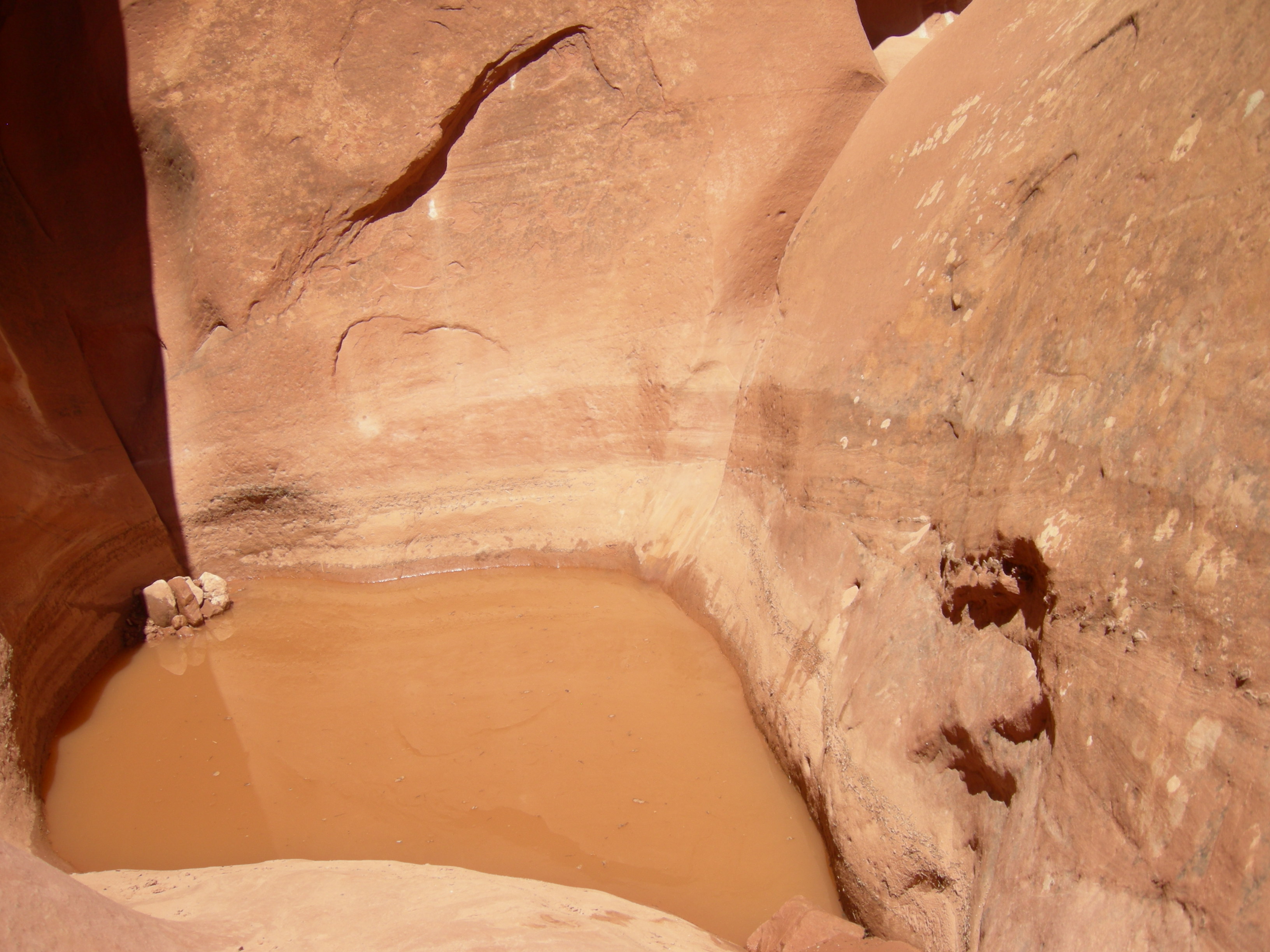 DSCN3888.JPG