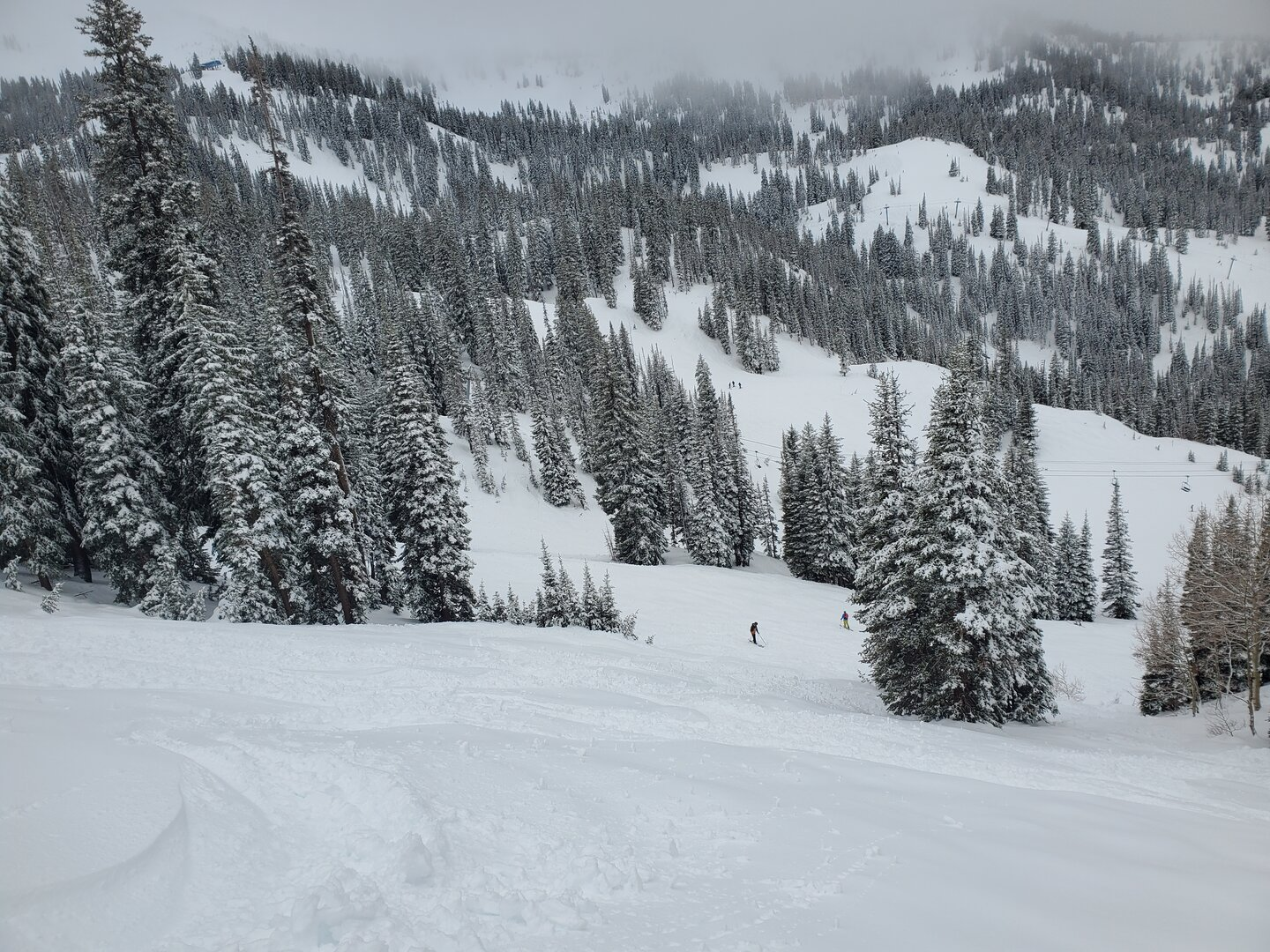 eddie moe snowbird 25 feb 2026.png