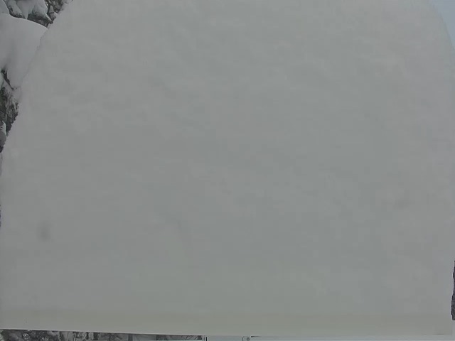 eldo Jan14.jpg