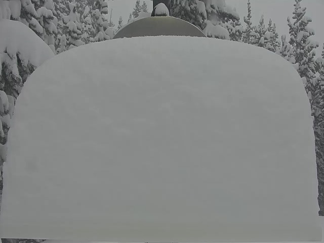 eldo Jan15 am.jpg