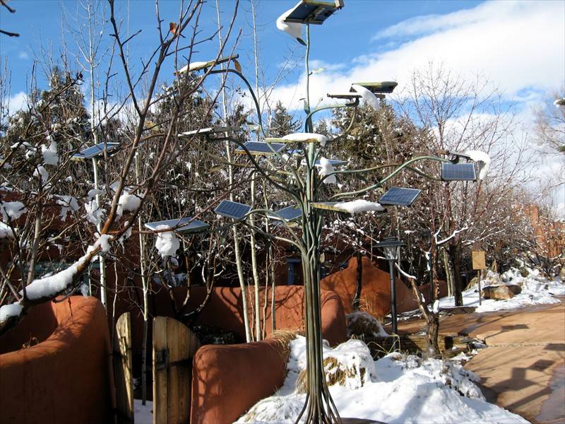 EMS solar trees.jpg