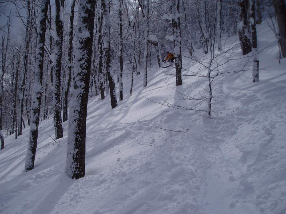 Eric in glades.JPG
