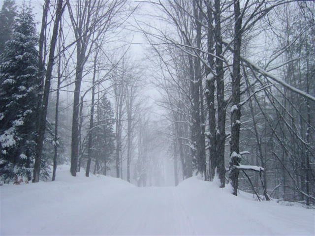 Harvey Road.jpg