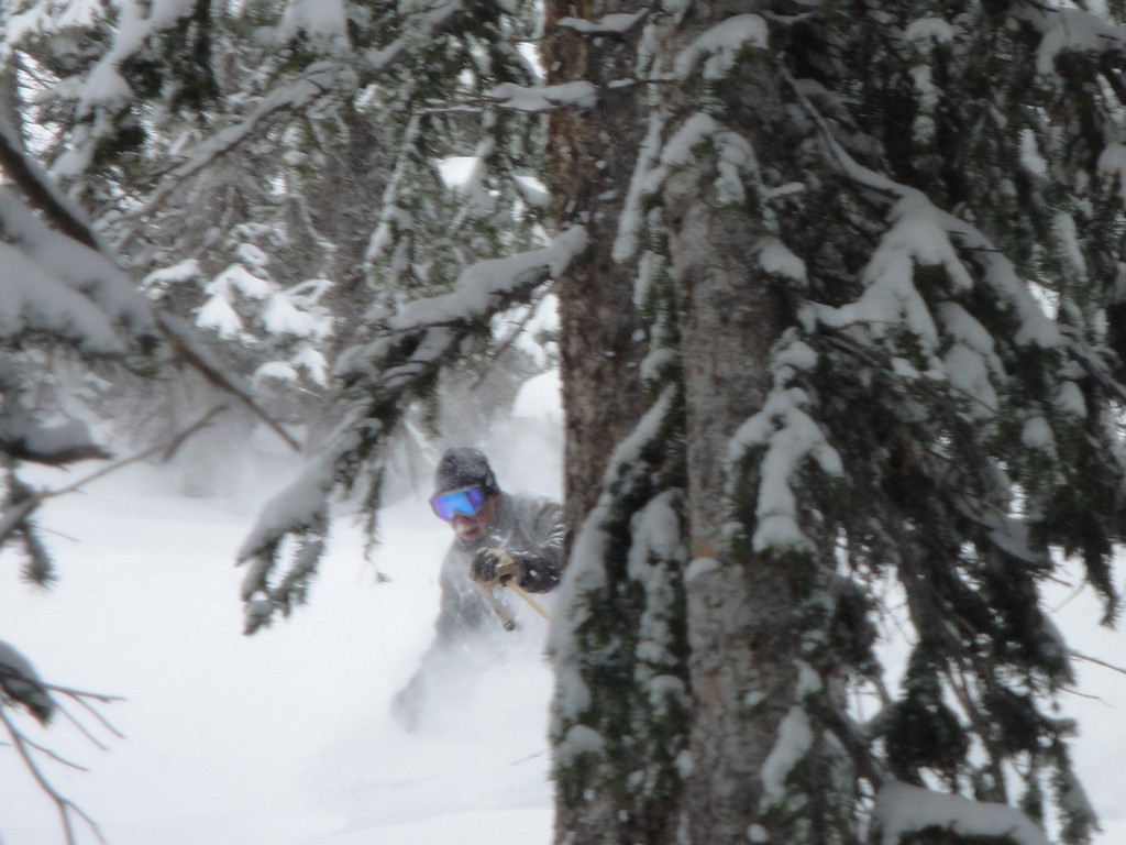 Homer in Catherines 2-12-12.jpg