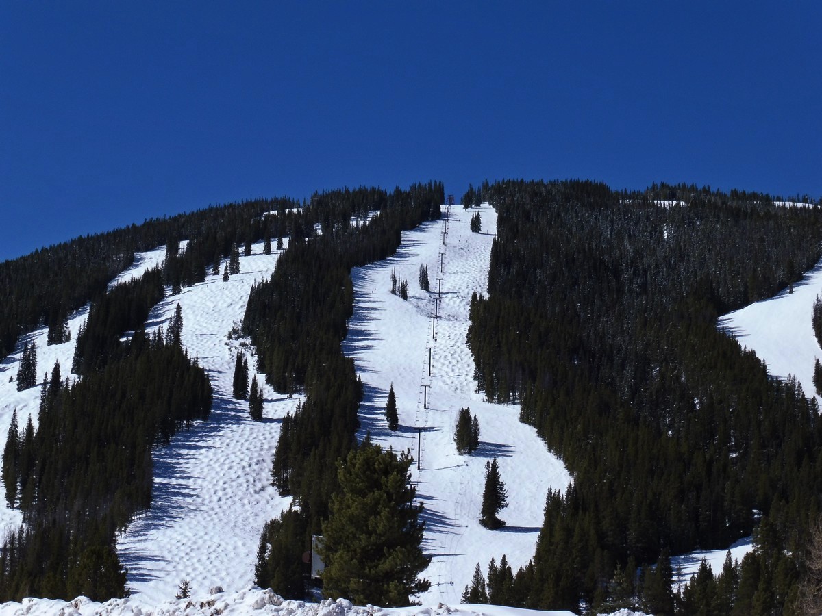 Image00001.jpg