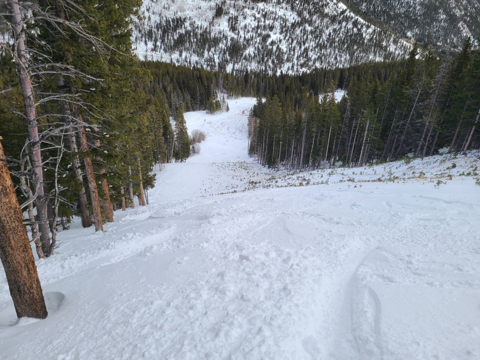 Image00001.jpg