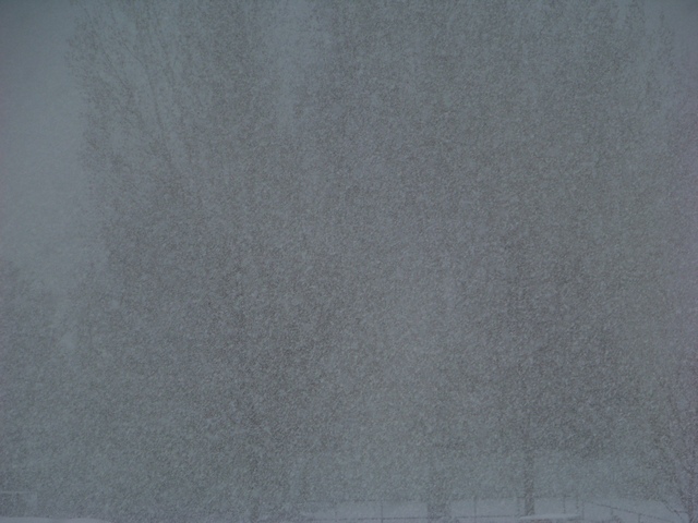 Image00001.jpg
