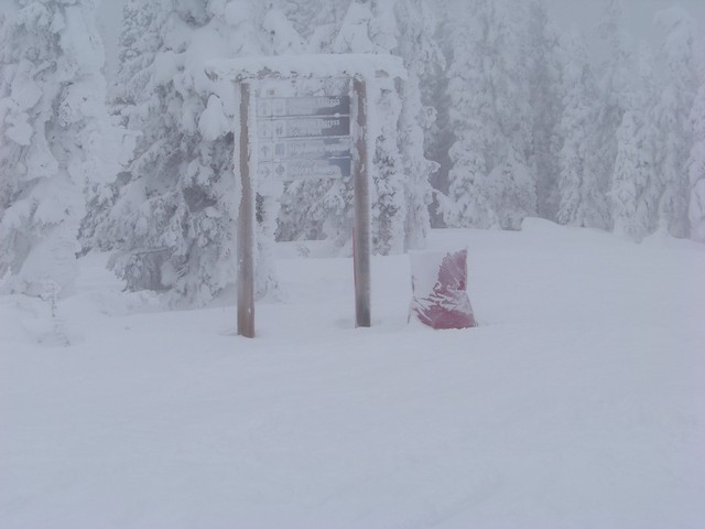 Image00002.jpg