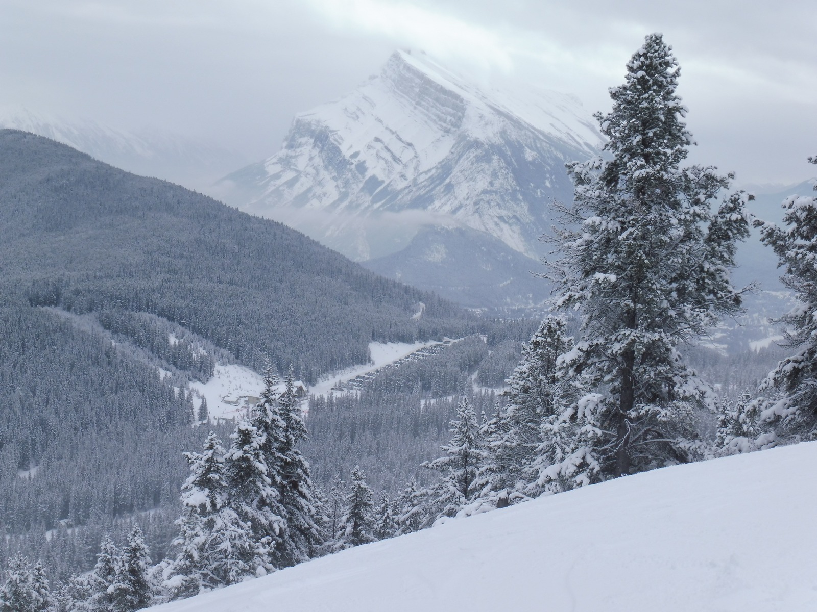 Image00003.jpg