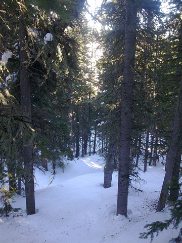 Image00003.jpg