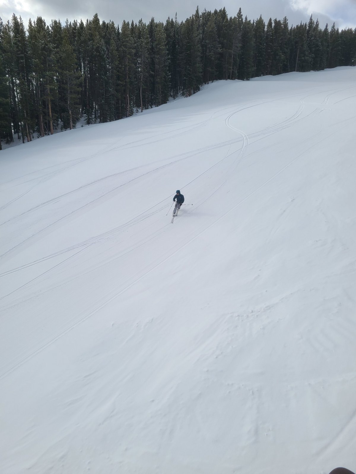 Image00004.jpg