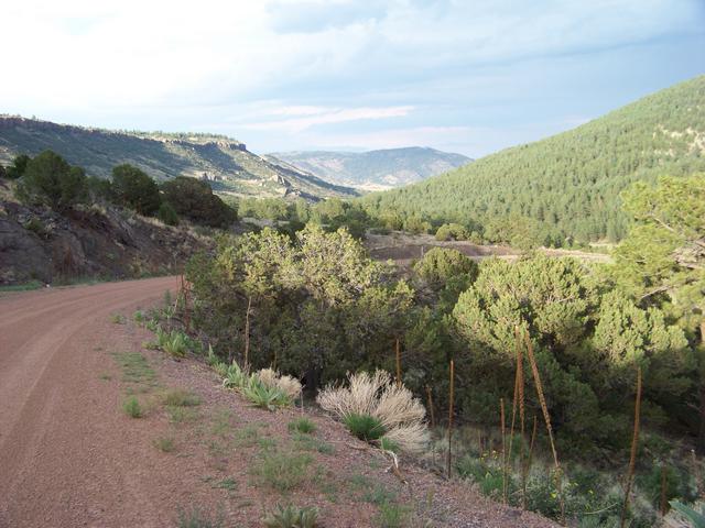 Image00019.jpg