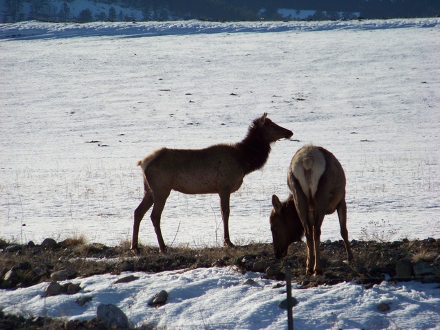 Image00021.jpg