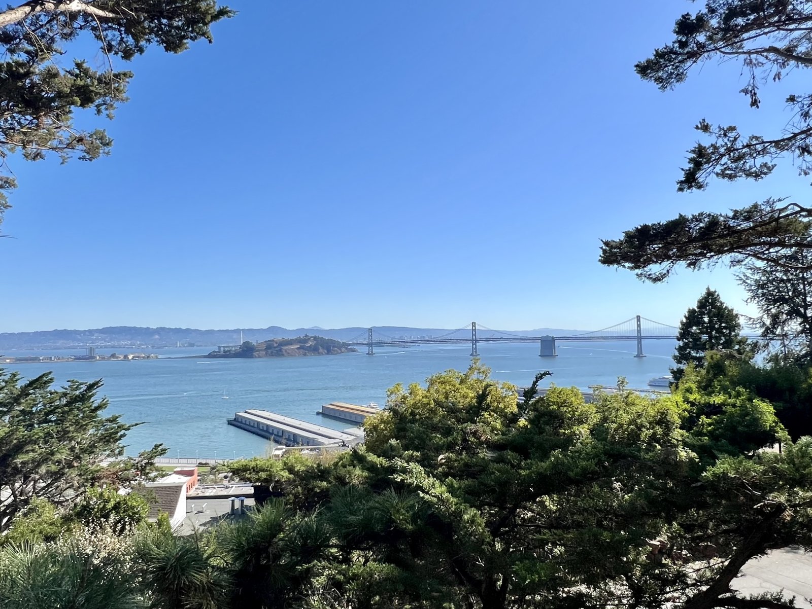 IMG_1026.jpeg