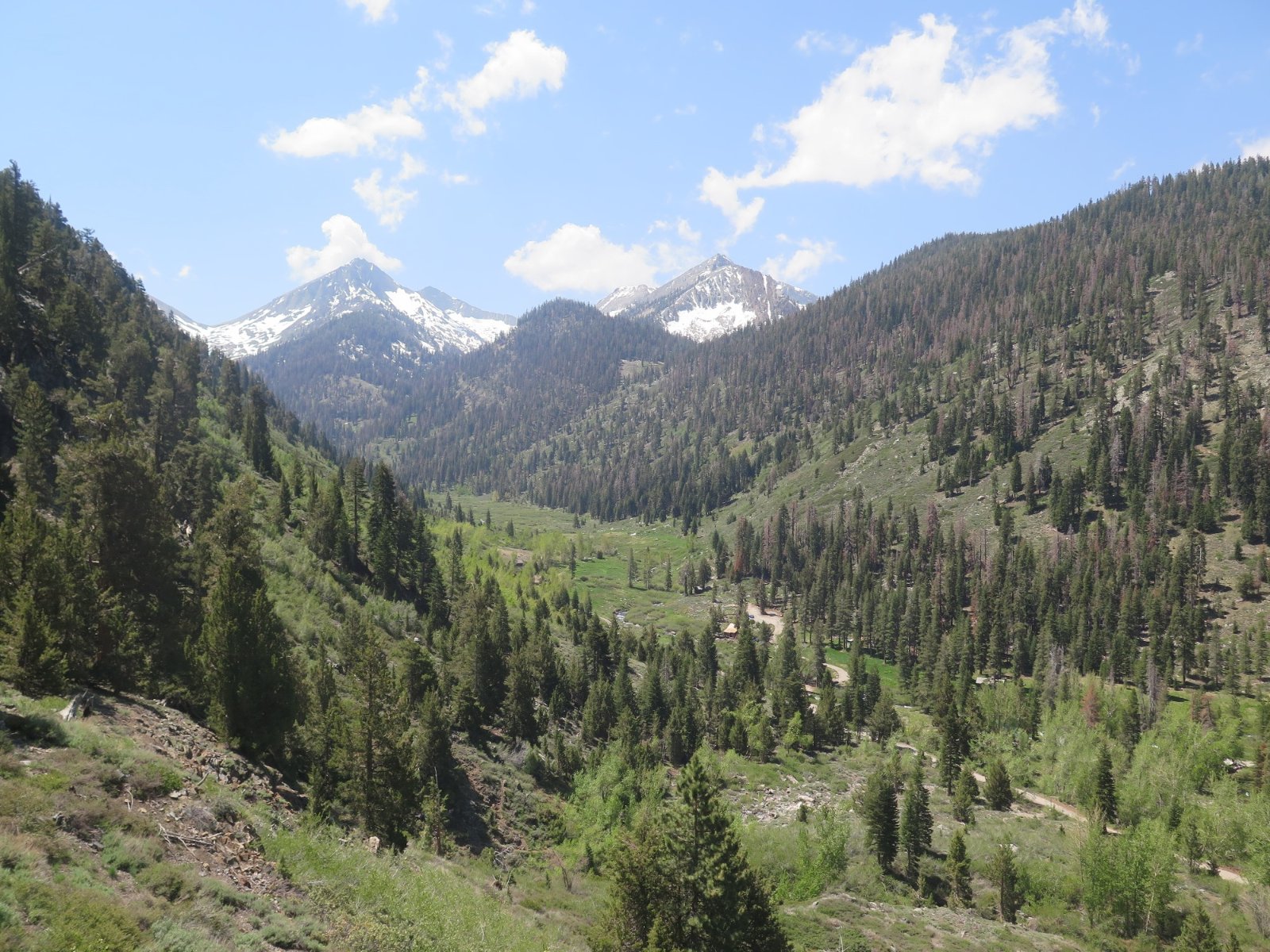 IMG_1155.JPG