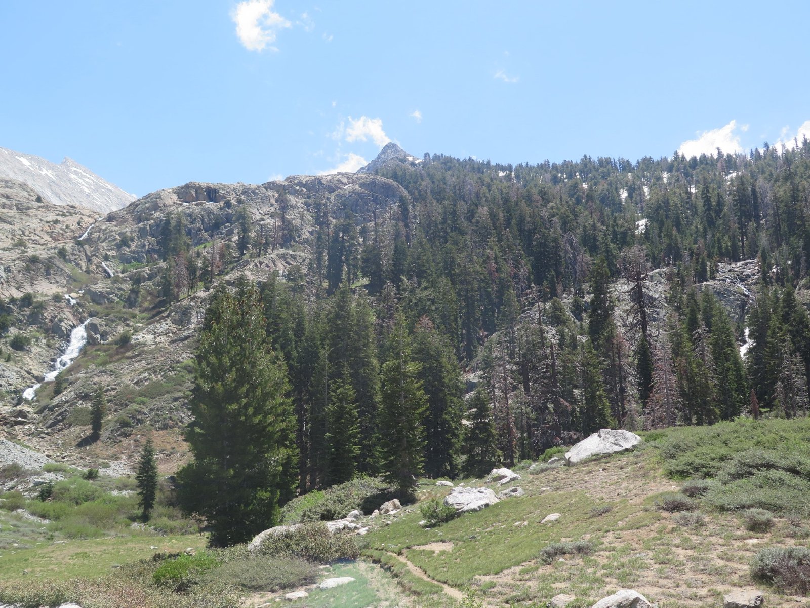 IMG_1184.JPG