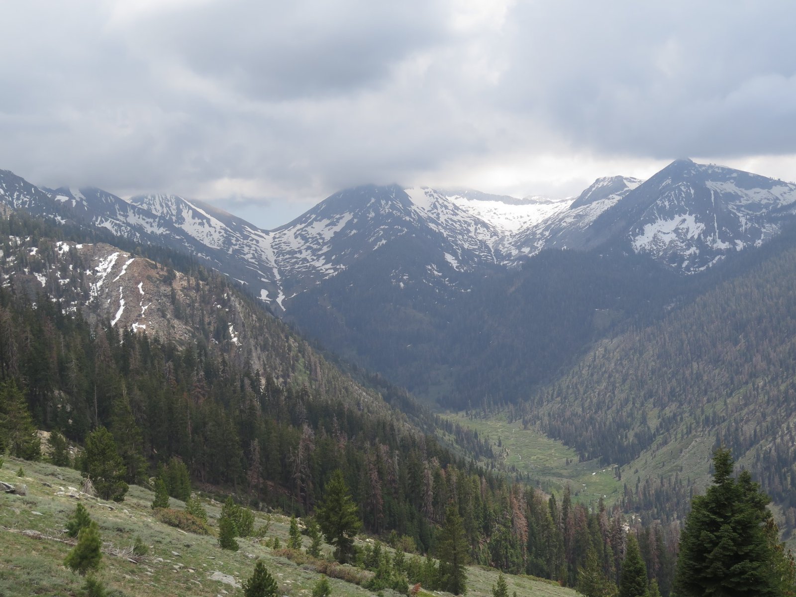 IMG_1225.JPG