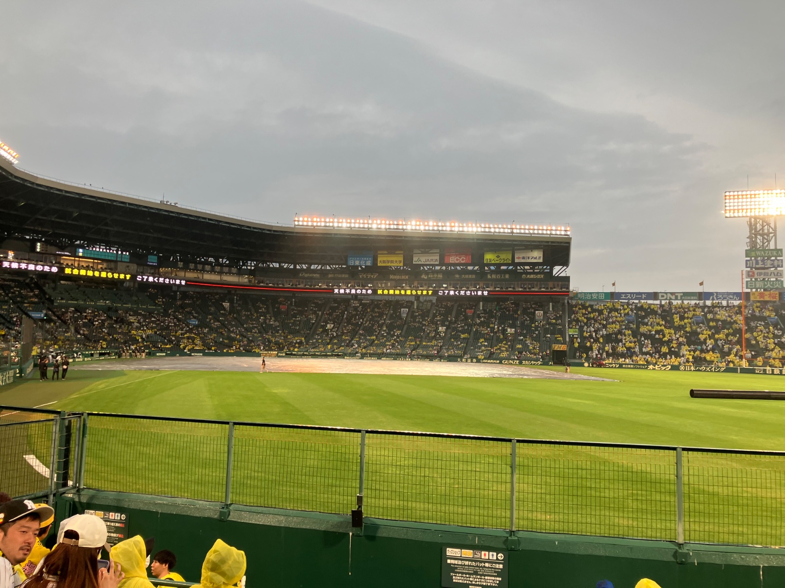 IMG_1506.jpeg